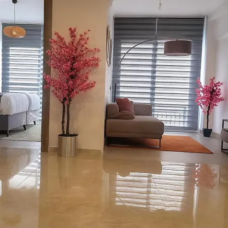 Elegant Ephesus - Artemis Apartman Selçuk