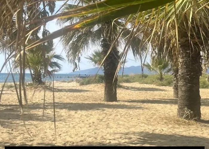 Elegant Ephesus - Artemis Сельчук